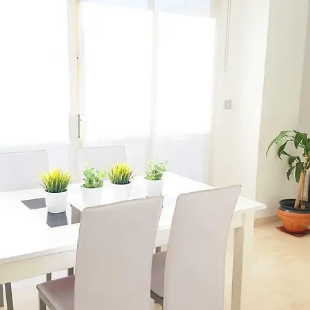 Pintor Lorenzo Apartment Alicante